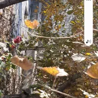 منزل ویلایی فروشی رادکان|فروش خانه و ویلا|رادکان, |دیوار