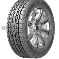 لاستیک زیر صفری فیدیلیتی