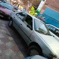 فروش فوری پژو84|خودرو سواری و وانت|بم, |دیوار