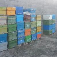 کندو زنبور خالی