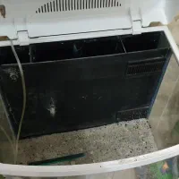 آکواریوم شیشه خم شرکتی ماهیران|ماهی|سقز, |دیوار