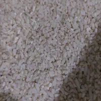 نیمه دانه هاشمی معطر|خوردنی و آشامیدنی|تهران, علم و صنعت|دیوار