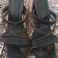 کفش مجلسی و کالج در حدنو|کیف، کفش، کمربند|نیشابور, پاستور|دیوار