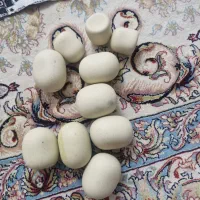 سنگ اسیاب