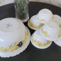 سرویس آرکوپال ۱۲ نفره در حد نو|ظروف سرو و پذیرایی|اصفهان, دشتستان|دیوار