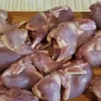 گوشت کبوتر