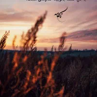 استخدام متقاضی برای انجام  امور منزل نظیر پذیرایی
