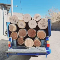 خرید اصلب چوب درخت نجاری سر ریزی درختان در فصل حرص