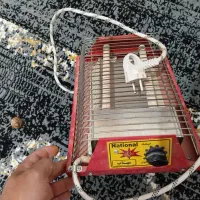 زودپز|ظروف پختوپز|شیروان (خراسان), |دیوار