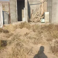 زمین کشاورزی در جاده چشمه|فروش زمین و ملک کلنگی|ایواوغلی, |دیوار