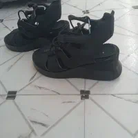 کفش|کیف، کفش، کمربند|دزفول, |دیوار