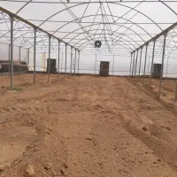 سرمایه گذاری در گلخانه