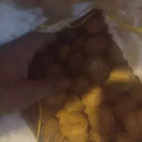 گردو