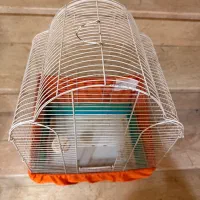 قفس سایز بزرگ و متوسط فلزی محکم