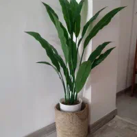 گل مصنوعی بهشتی