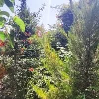 فروش ویلابا تهاتر ملک در تهران|فروش خانه و ویلا|رامجین, |دیوار