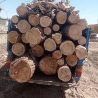 خرید انواع چوب. هرس و قطع درخت