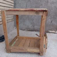 کبوتر و جفت کن