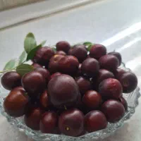 عناب شیرین و درشت