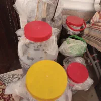 خرما جاهین و شیره ای موجود