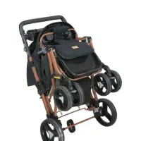 کالسکه.نو|کالسکه و لوازم جانبی|سپیدان, |دیوار