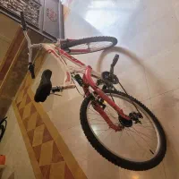 دوچرخه سایز ۲۶ نونو استثنایی اصل ترکیه|دوچرخه، اسکیت، اسکوتر|تهران, گلستان (شهرک راه آهن)|دیوار