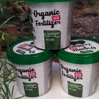 قرص کود گل و گیاه|گل و گیاه طبیعی|ساری, |دیوار