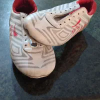 کفش استوک|کیف، کفش، کمربند|دورود, |دیوار