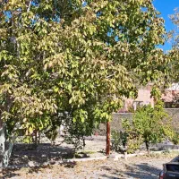 باغ ویلا در چم آسمان باغ بهادران، مستقل یا اشتراکی|فروش خانه و ویلا|فولادشهر, باغشاد|دیوار