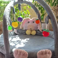 یک هدیه خاص|تخت و صندلی بچه|کاشان, فاز ۲ ناجی آباد|دیوار