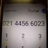 فروش خط تلفن رند با دایورت بدون زنگ خور