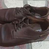 کفش کت اصل مردانه|کیف، کفش، کمربند|شیراز, رکن‌آباد|دیوار