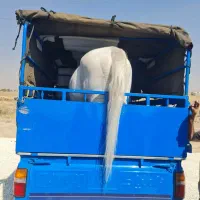 اسبکش|اسب و تجهیزات اسب‌سواری|کرمانشاه, |دیوار