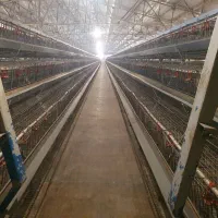 کارگر روزمزد