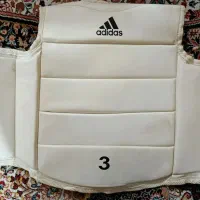 هوگو کاراته