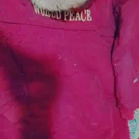 کاپشن ،پالتو،بارونی|لباس|بیرجند, |دیوار