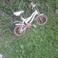 دوچرخه