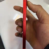 iphone13normal|موبایل|سنندج, |دیوار