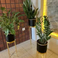 عرضه مستقیم گیاه و گلدان های طبیعی مناسب هدیه