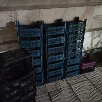 تعدادی جعبه انگور وگوجه