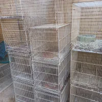 قفس بزرگ کبوتر قناری فنچ عروس طوطی کاسکو
