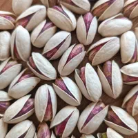 پسته احمدآقایی انس ۲۴-۲۶ تماما توچین و آجیلی