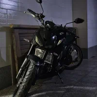 های پرو طرح z1000 نیکتاز ۲۵۰ جفت رادیات روغن