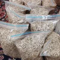 مغز تخمه آفتابگردان تازه امسالی خام