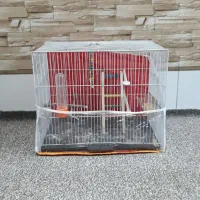 قفس عروس هلندی بزرگ