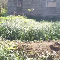 زمین ۱۶۰ متر با کاربری مسکونی در لاهیجان|فروش زمین و ملک کلنگی|لاهیجان, لیالستان|دیوار