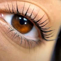 تخفیف انجام لیفت ابرو و لیفت مژه با مواد vip|خدمات آرایشگری و زیبایی|ری, شهرری|دیوار