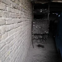 لوله داربست|مصالح و تجهیزات ساختمان|زالیان, |دیوار