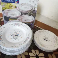 ظروف گل ویکتوریا ارکوپال اصل فرانسه