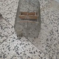قفس پرنده نو درحد تعدادی هست